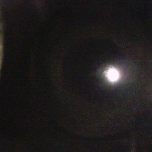 Picture 16.jpg