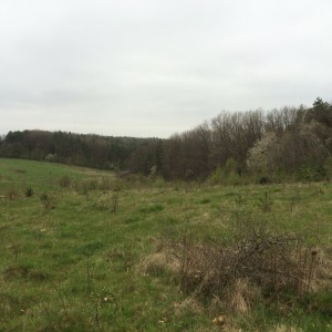 IMG_0136.JPG
