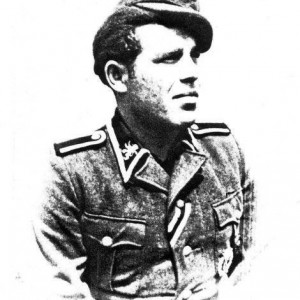 y_804bf5cc.jpg