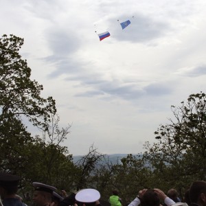 291.JPG