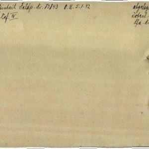 filterimage (9).jpg