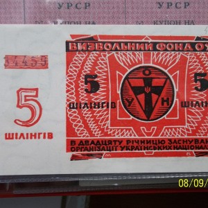 Изображение 296.jpg