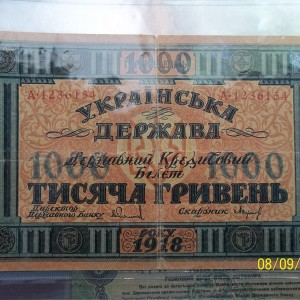 Изображение 316.jpg