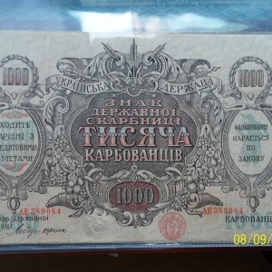 Изображение 321.jpg