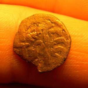 DSCN7377.JPG