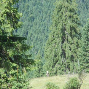 097.jpg
