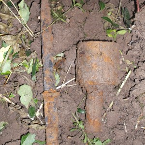 DSCF0595.JPG