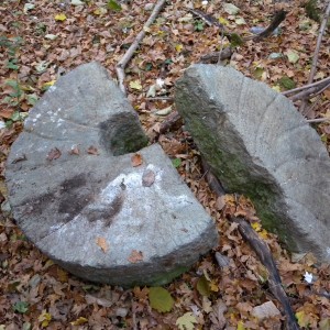 DSCN2186.JPG