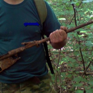 DSC00351щщ.jpg