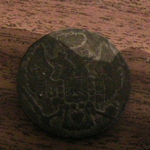 IMG_0795.jpg