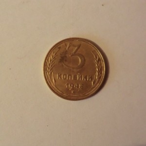 CIMG0633.JPG