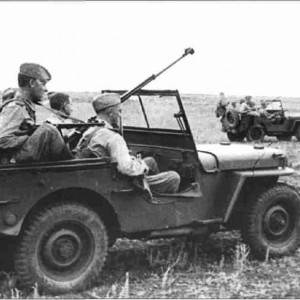 Willys