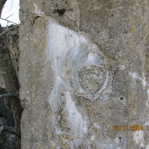 IMG_3428.JPG