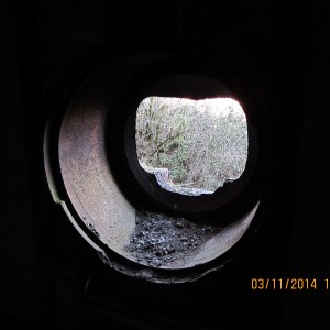 IMG_3442.JPG