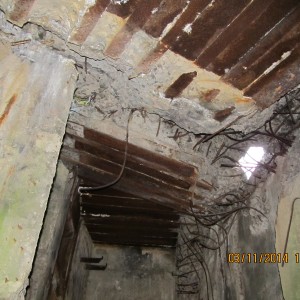 IMG_3472.JPG