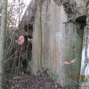 IMG_3477.JPG