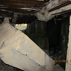 IMG_3479.JPG