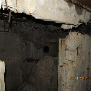IMG_3482.JPG