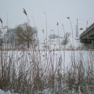 835e7aafe66f.jpg