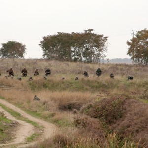 196.JPG