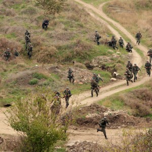 201.JPG