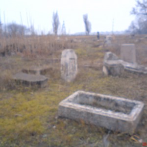 DSC02447.JPG