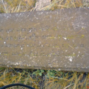 DSC02453.JPG