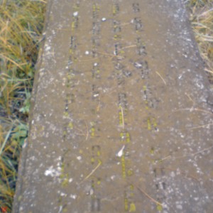 DSC02454.JPG