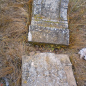 DSC02457.JPG