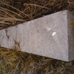 DSC02473.JPG