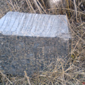 DSC02475.JPG