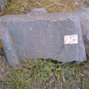 DSC02478.JPG