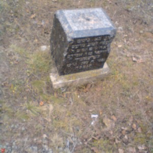 DSC02482.JPG