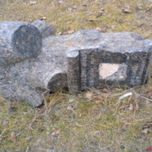 DSC02484.JPG