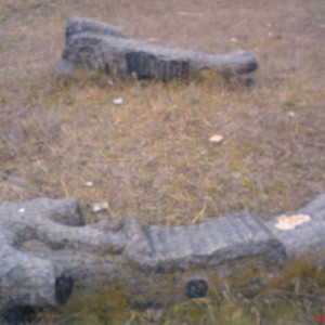DSC02486.JPG
