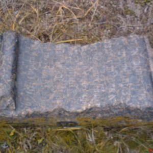 DSC02487.JPG