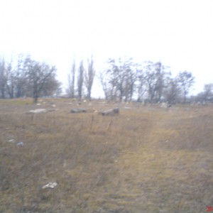 DSC02489.JPG