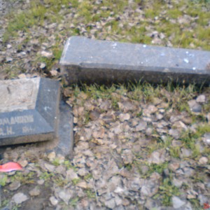 DSC02490.JPG