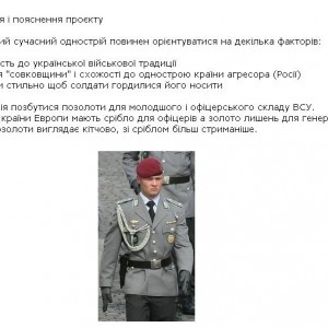 Project 2 - cockades - explanation.JPG