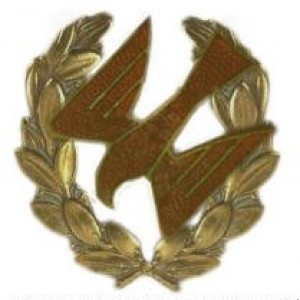 Project 6 - beret.JPG