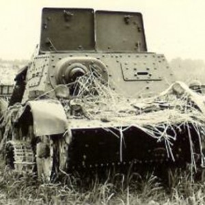 21706.jpg