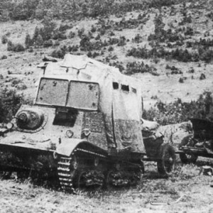 21715.jpg