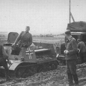 21736.jpg