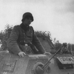 21743.jpg