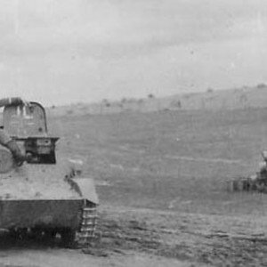21761.jpg