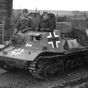 21762.jpg
