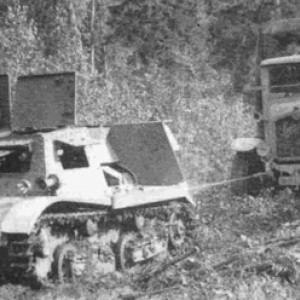 21768.jpg