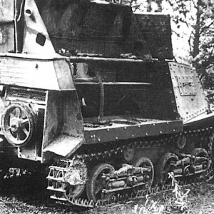 21782.jpg