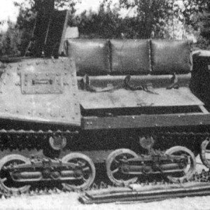 21785.jpg
