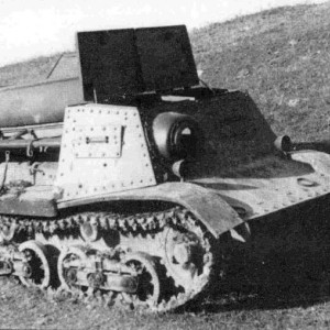 21795.jpg